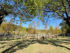 -牛岗山公园
