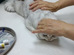 -中农国际动物医院24小时·猫科·骨科·急重症中心