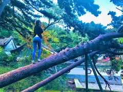 -阳台山自然风景区