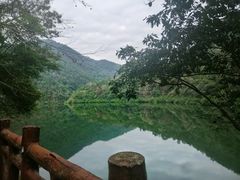 -广州市石门国家森林公园