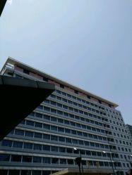 -首都医科大学附属北京儿童医院