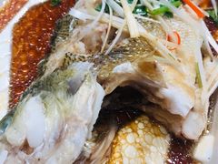 鲈鱼-盒马鲜生(189购物中心店)