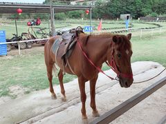 -仙海旅游度假区