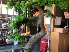 -松子料理(亮马桥店)