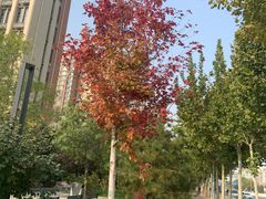 -蓝凯宾馆(和平西桥地铁站店)