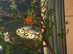 -庆江南江南菜(琴湖溪里花园城店)