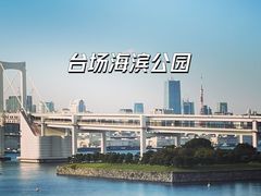 -台场海滨公园船码头