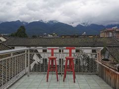 -喵屿·大理花园猫咖