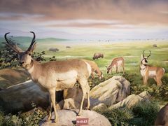 -陕西自然博物馆