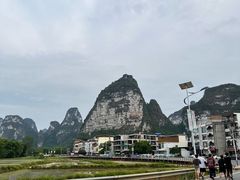 -明仕田园