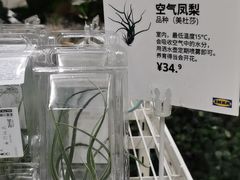 -IKEA宜家家居(南京商场)
