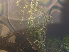 -见山书院