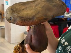 -草墩罗非鱼庄•野生菌•腊排骨(七星街上段店)