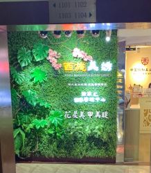 -西施无菌半永久纹绣眉眼影唇轻增发纹发际线
