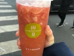 -树夏(建设路店)