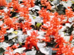 -幕燕滨江·长江观音景区