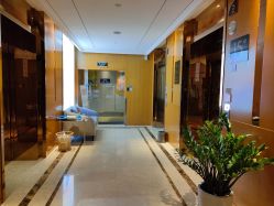 -明宇集团·积木枝芽母婴健康管理中心(天府店)