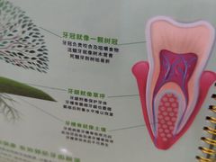 -圣呗口腔·舒适化种植牙·矫正中心(广州总院)