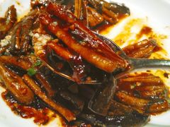 -蝶园·装修中(BFC外滩金融中心店)