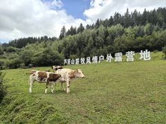 -芦芽山旅游度假区