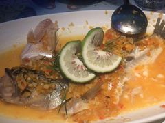 -蝴蝶汇音乐酒馆(罗湖店)