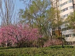 -田村(地铁站)