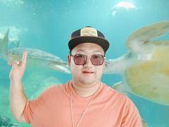 -广东惠东海龟国家级自然保护区