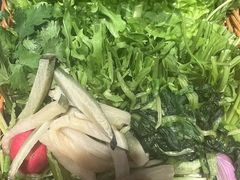 -鸽子窝(青塔店)