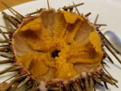 -海胆小馆(东北水饺·春柳店)