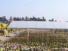 -三圣花乡旅游区