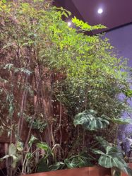 -花隐·美芙炫海菲秀皮肤管理中心