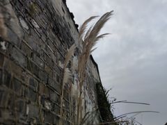 -黎里古镇