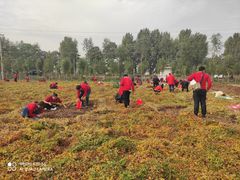 -解家河南菜(商鼎路店)