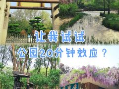 -济南森林公园