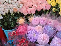 -越秀西湖花市(广州城市广场花卉店)