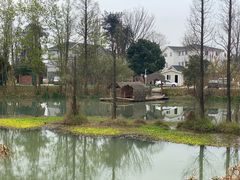 -桤木河湿地公园