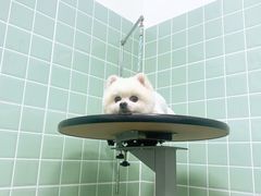 -哈尼爱宠·宠物生活会馆