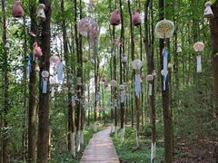 -洪湖悦兮半岛国际温泉度假村