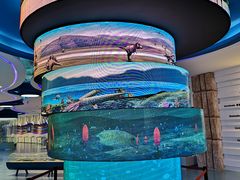 -金钉子远古世界景区