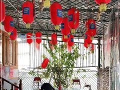 大堂-周肥肠(江油总店)