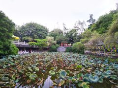 -国恩寺