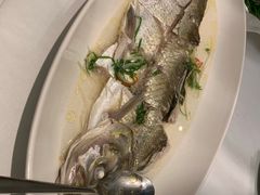 -松鹤楼·非遗·苏帮菜(融科店)