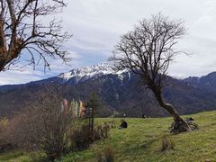-硗碛藏寨·神木垒景区
