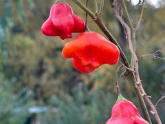 -北京金海湖景区