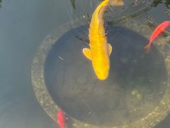 -聚缘堂·海鲜私房菜(松岭路店)