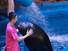 -烟台海昌鲸鲨海洋公园