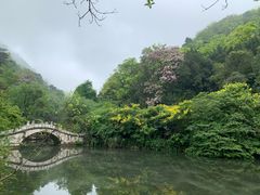 -黔灵山公园