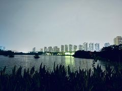 -洋湖国家湿地公园