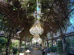 -The Grounds of Alexandria