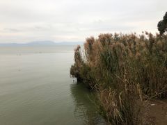 -捞渔河湿地公园